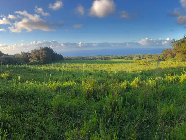 $1,750,000 | 54-640 Lot 2 Hall Road, Kamuela, HI 96743