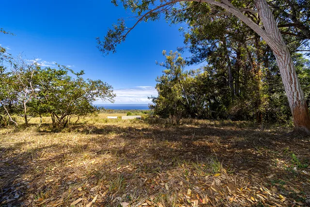 $1,750,000 | 54-640 Lot 2 Hall Road, Kamuela, HI 96743