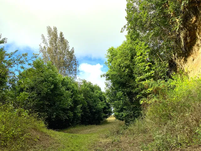 $1,750,000 | 54-640 Lot 2 Hall Road, Kamuela, HI 96743