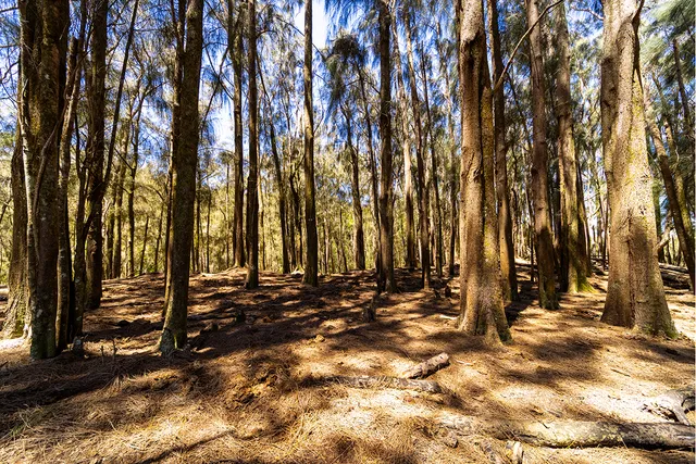 $1,750,000 | 54-640 Lot 2 Hall Road, Kamuela, HI 96743