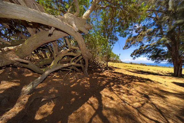 $1,750,000 | 54-640 Lot 2 Hall Road, Kamuela, HI 96743