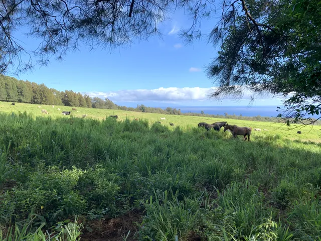 $1,750,000 | 54-640 Lot 2 Hall Road, Kamuela, HI 96743
