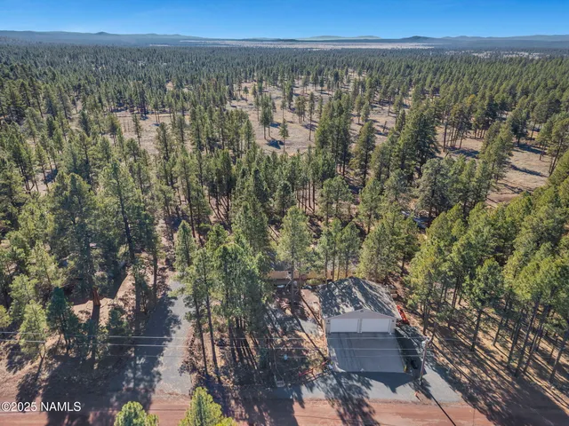 a view of a city with lush green forest