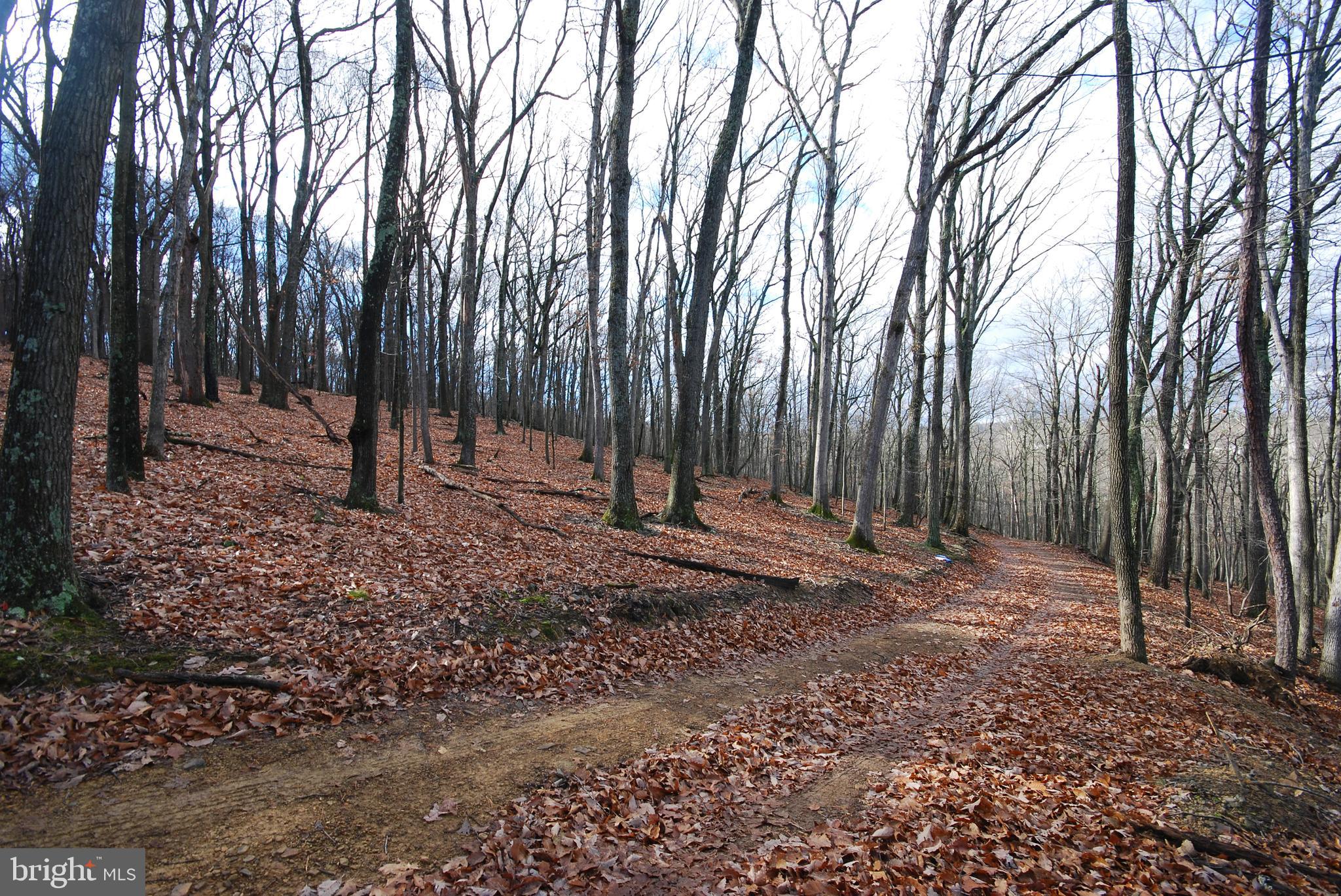 Lot 70-71 Mill Mountain Road Romney, WV 26757 - Photo 24 of 52