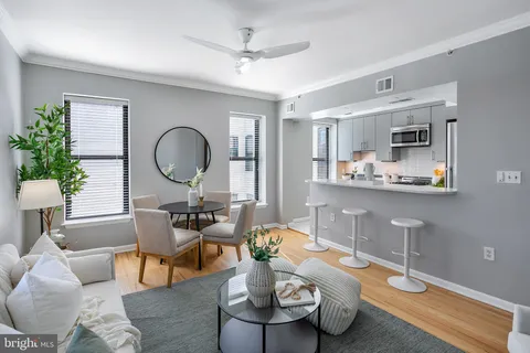 a living room with furniture flowerpot and window