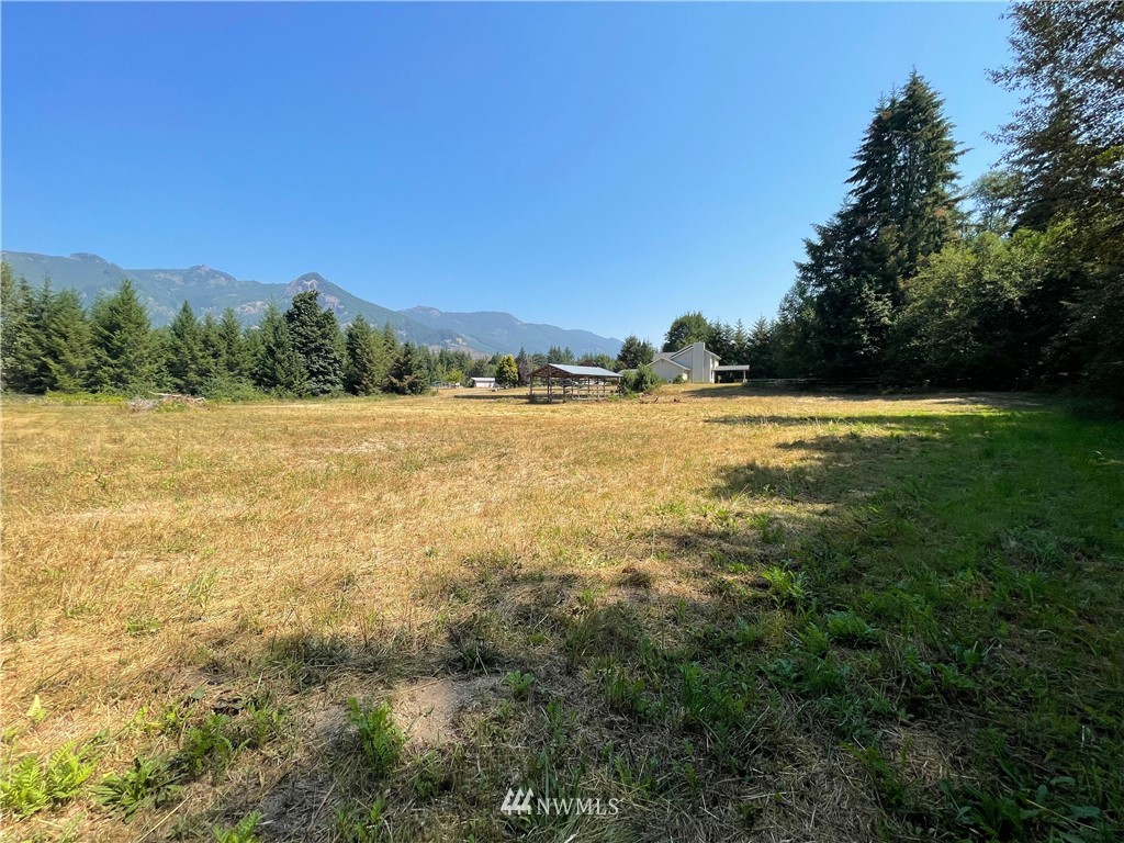 166 Ridge View Drive Randle, WA 98377 - Photo 5 of 20 Gallery Image 5