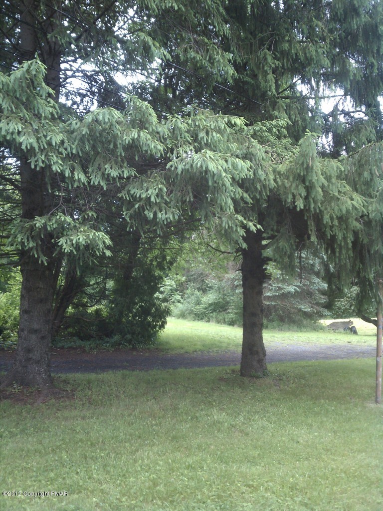 3 Intersection Hay Road Stroudsburg, PA 18360 - Photo 6 of 8 a view of a yard with a tree