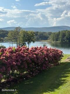 61 Tor Court Pittsfield, MA 01201 - Photo 12 of 32 a view of a lake with outdoor space