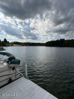 61 Tor Court Pittsfield, MA 01201 - Photo 18 of 32 a view of a lake