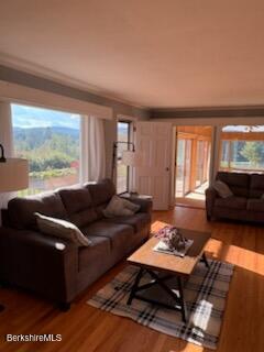61 Tor Court Pittsfield, MA 01201 - Photo 19 of 32 a living room with furniture and a large window