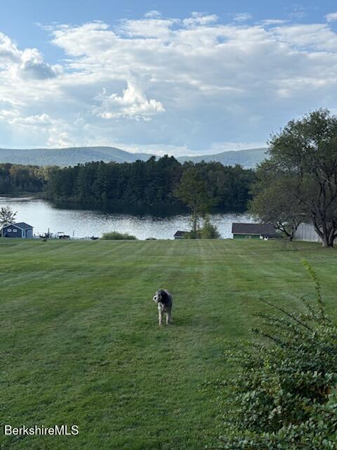 61 Tor Court Pittsfield, MA 01201 - Photo 25 of 32 a view of a lake with a yard