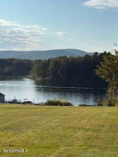 61 Tor Court Pittsfield, MA 01201 - Photo 3 of 32 a view of ocean view