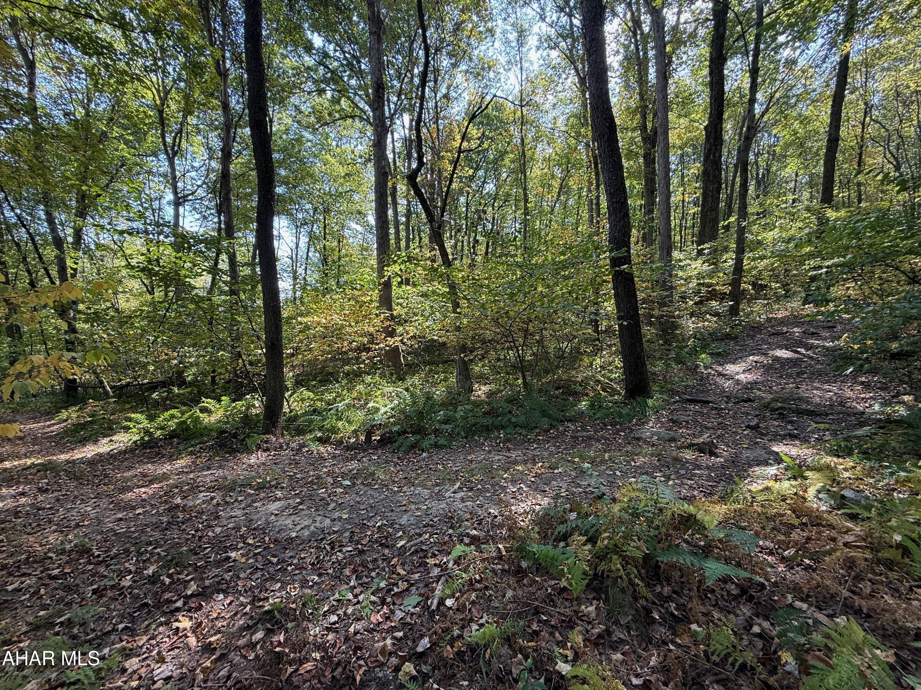 Off Ridgewood Drive New Paris, PA 15554 - Photo 16 of 19
