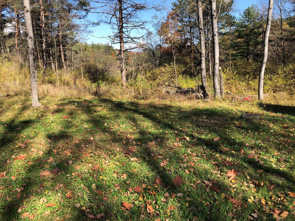 2132 Bailey Creek Road Corning, NY 14830 - Photo 1 of 1 Gallery Image 1