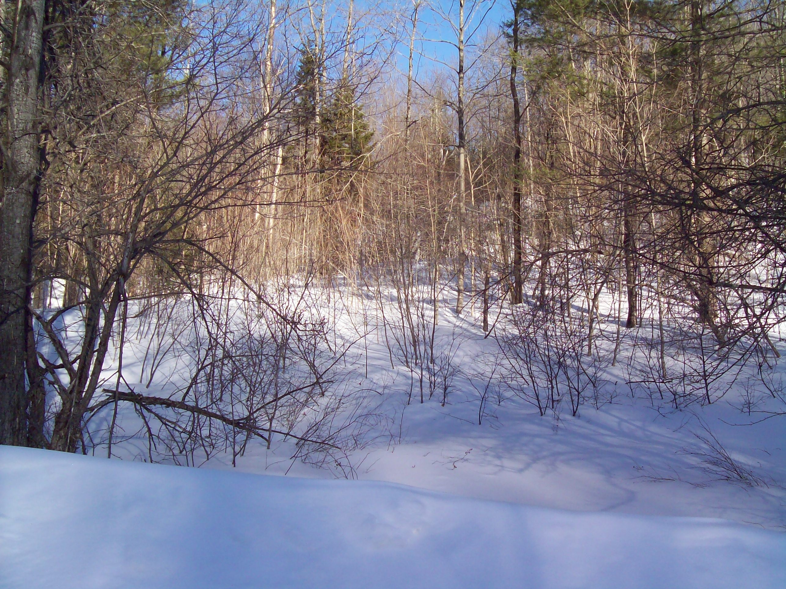 Barnard/chateauguay Road, Unit 6 Bridgewater Corners, VT 05035 - Photo 1 of 1