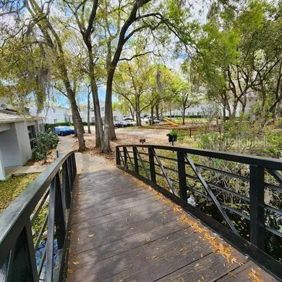 a view of a park with large trees