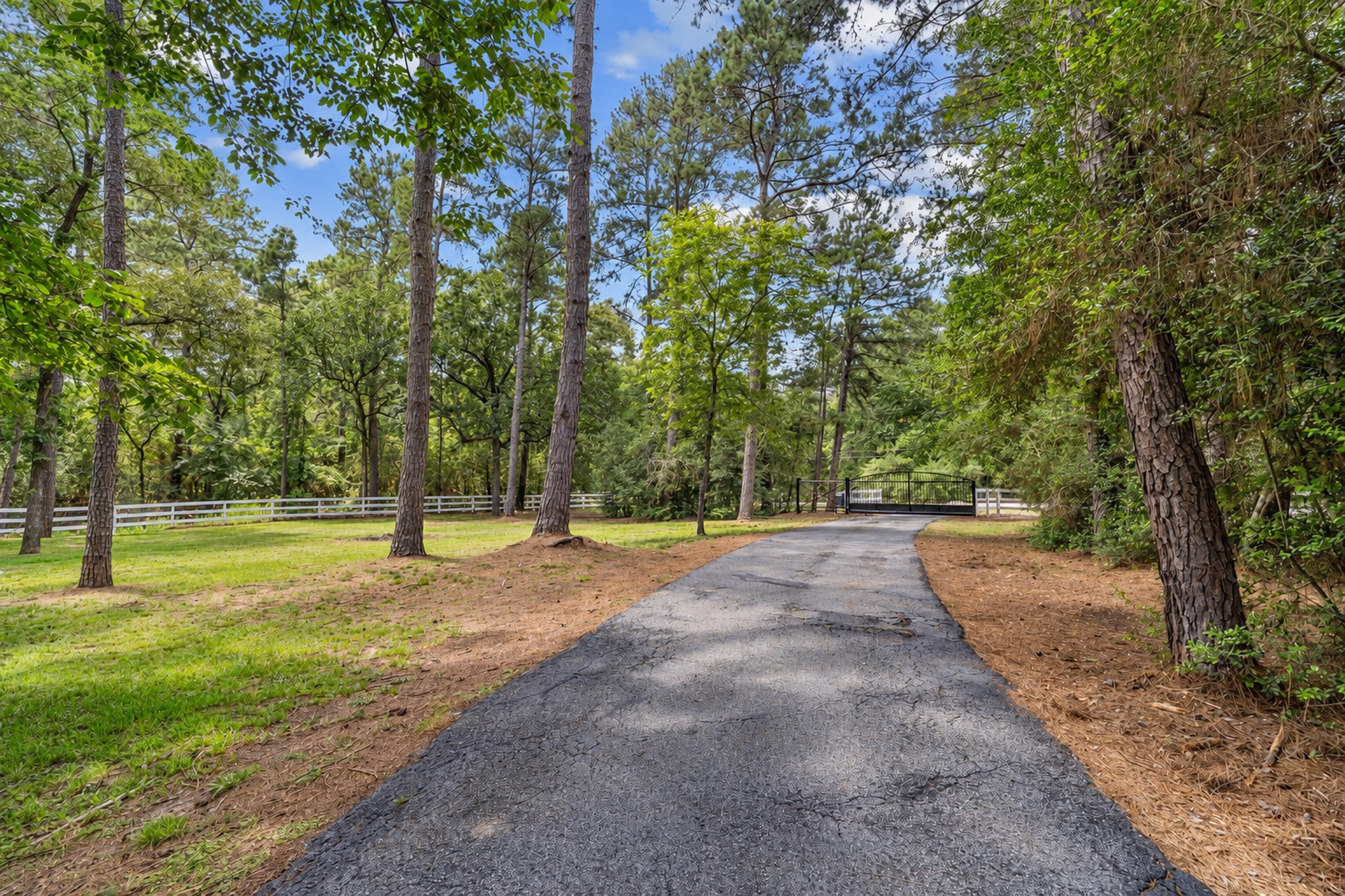 19610 Timber Ridge Drive Magnolia, TX 77355 - Photo 4 of 49 A remote controlled iron gate with LiftMaster access opens to a paved driveway that winds through the trees toward the home. Set back from the road, the property feels private and peaceful from the moment you arrive. A spacious front lawn offers plenty of room to enjoy the outdoors.