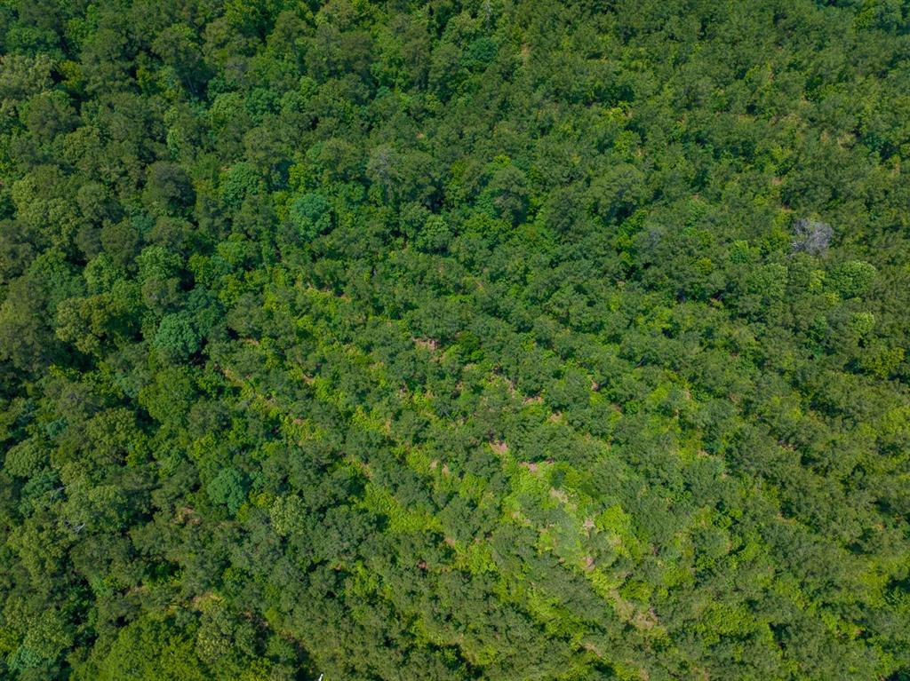 T-2 Blade Loop Jena, LA 71342 - Photo 16 of 17