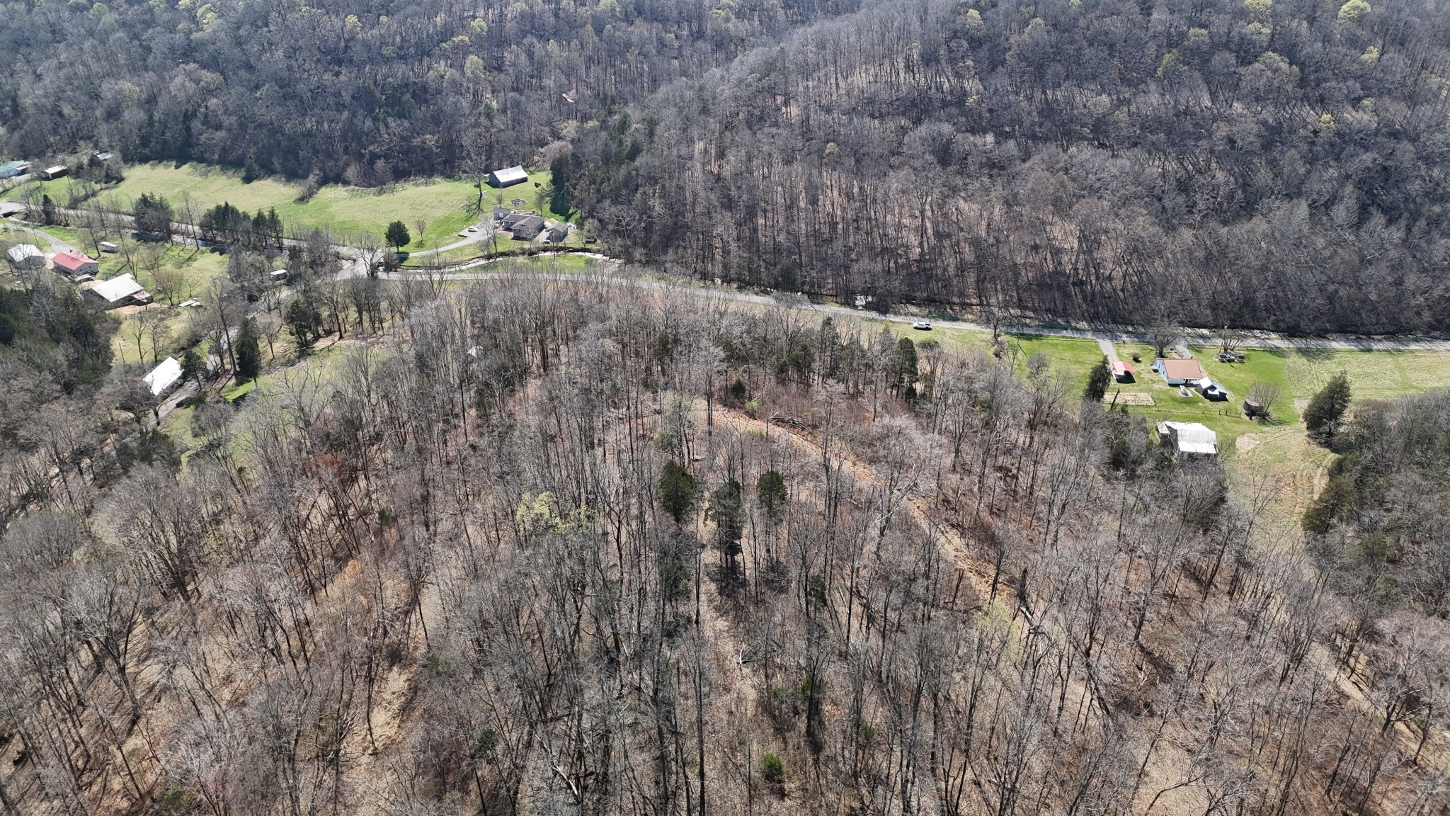 0 Butler Mill Hollow Road Bethpage, TN 37022 - Photo 7 of 20 a view of a forest with a tree