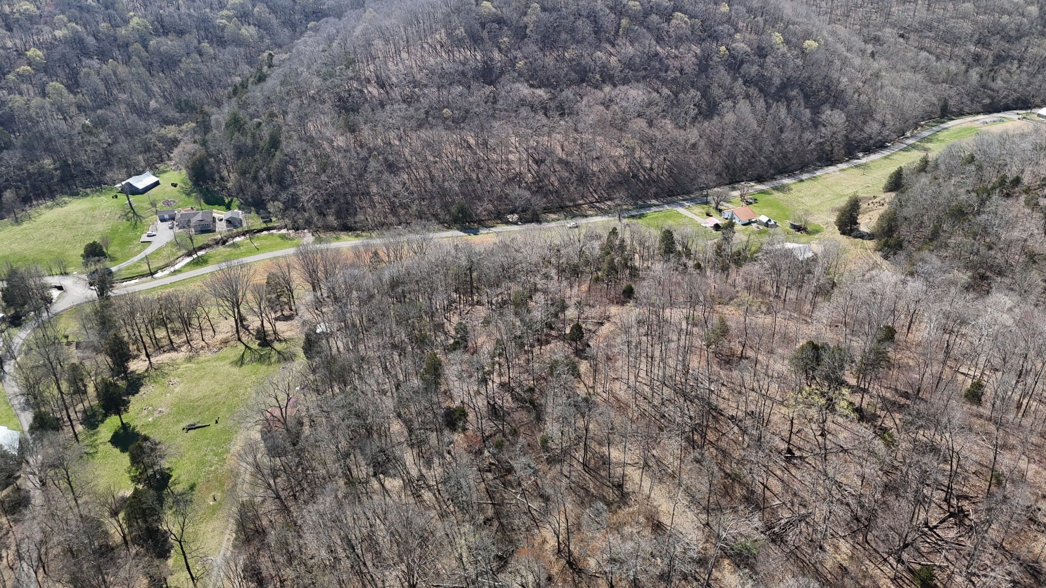 0 Butler Mill Hollow Road Bethpage, TN 37022 - Photo 8 of 20 a view of a yard with plants