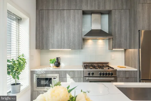 a view of a dining room with furniture a potted plant and wooden floor