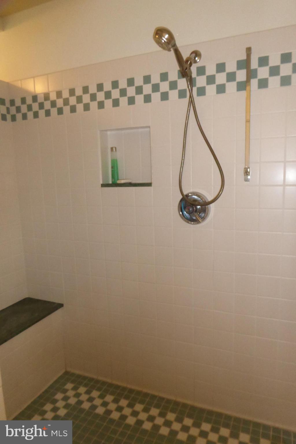 5320 Olney Laytonsville Road Derwood, MD 20855 - Photo 15 of 35 Master Bdr. shower