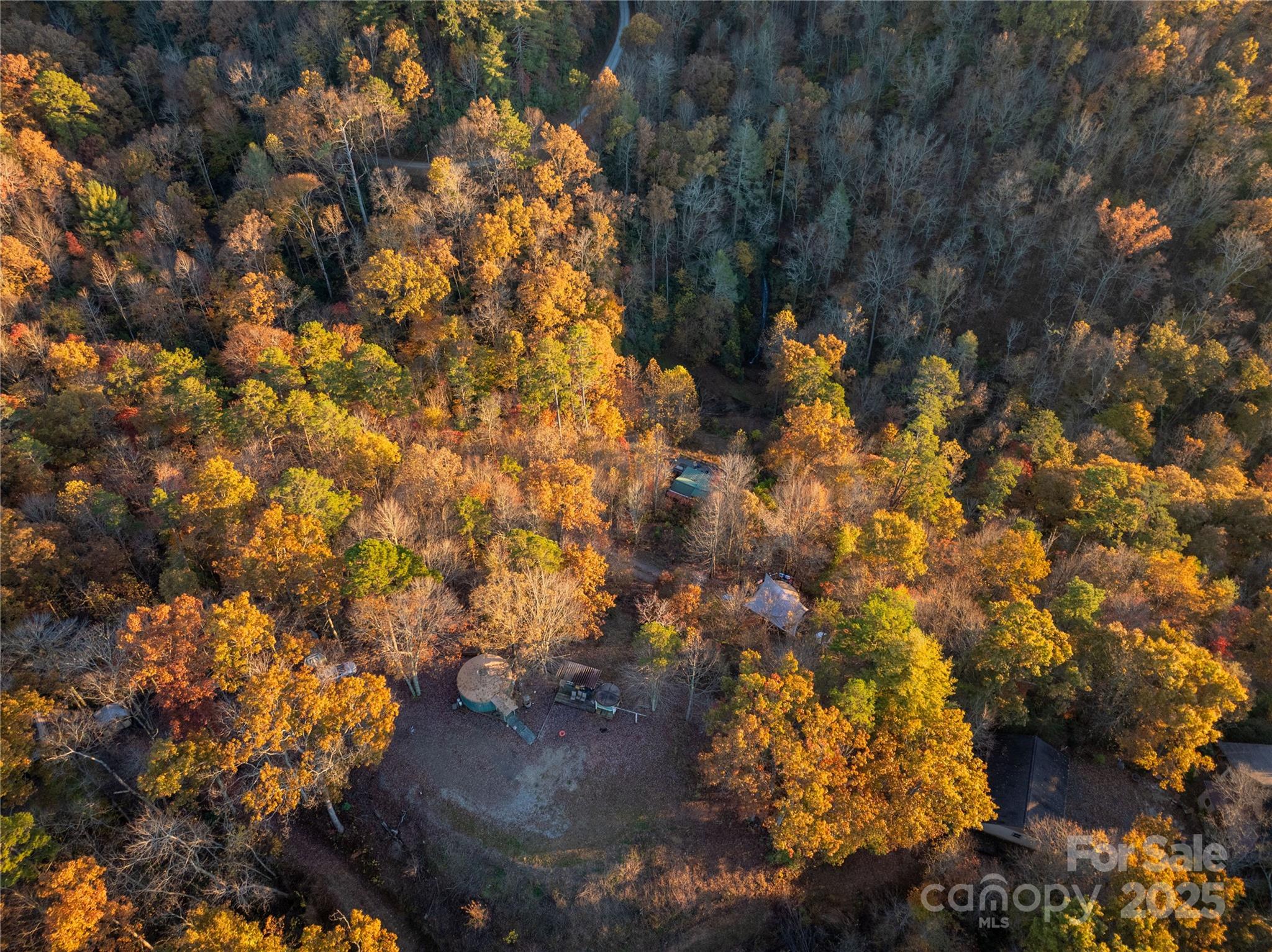 85 Brown Lane Marble, NC 28905 - Photo 11 of 32 a picture of tree