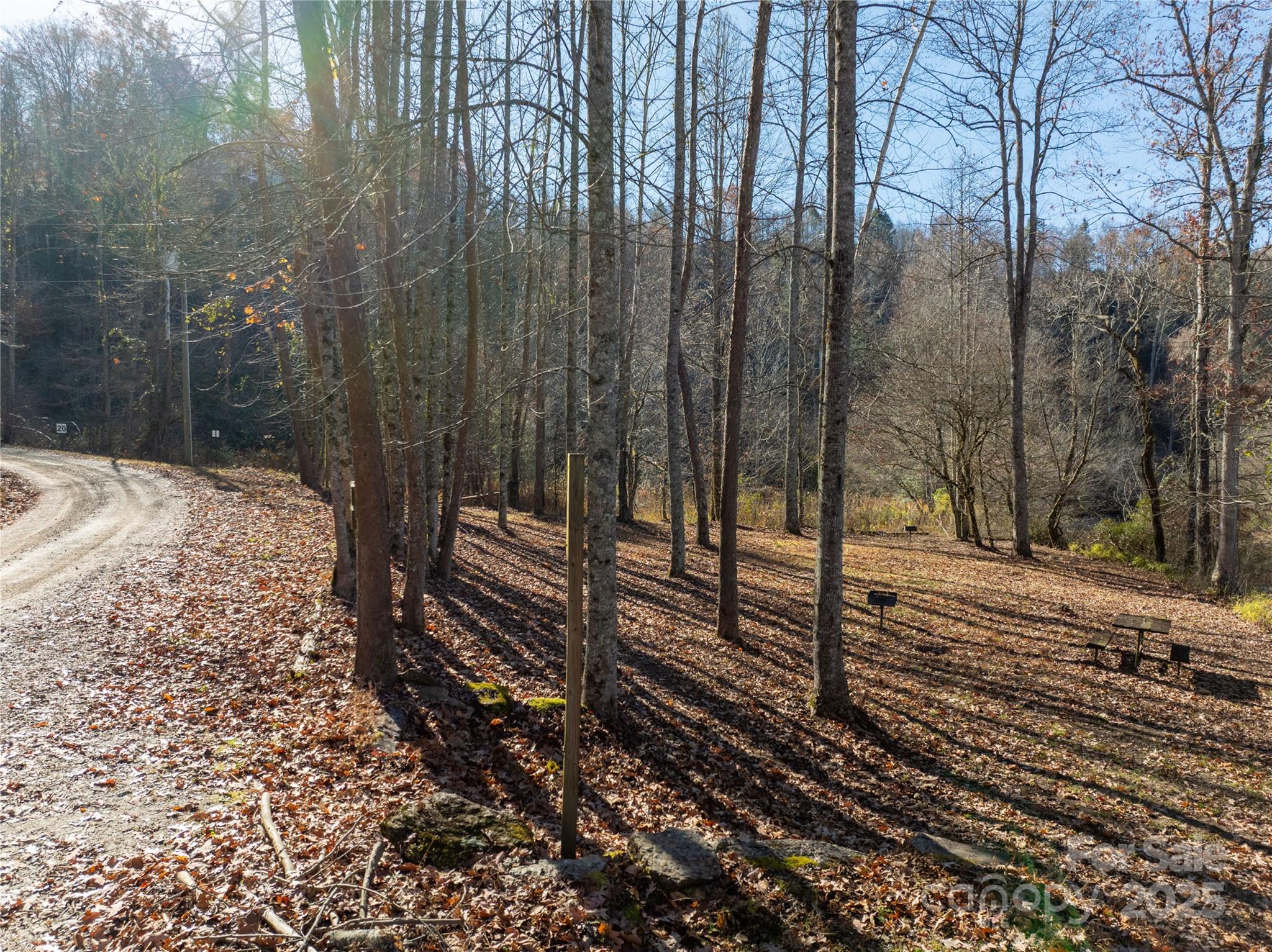 85 Brown Lane Marble, NC 28905 - Photo 15 of 32 a view of a backyard of the house