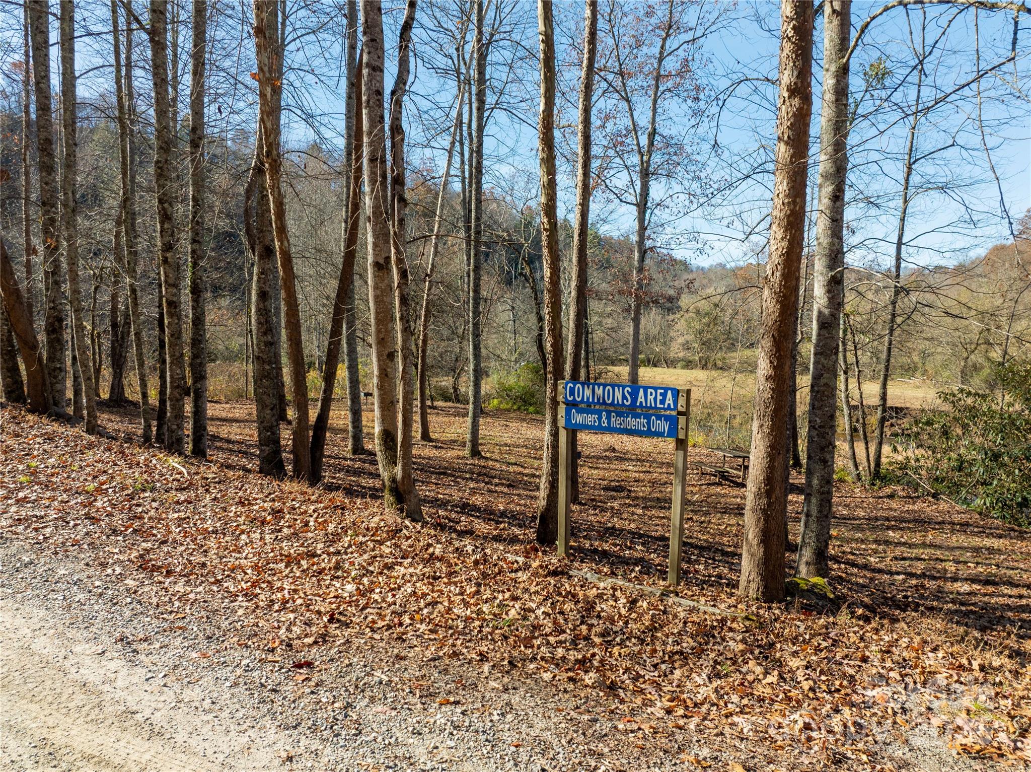 85 Brown Lane Marble, NC 28905 - Photo 16 of 32 a backyard of a house with lots of green space