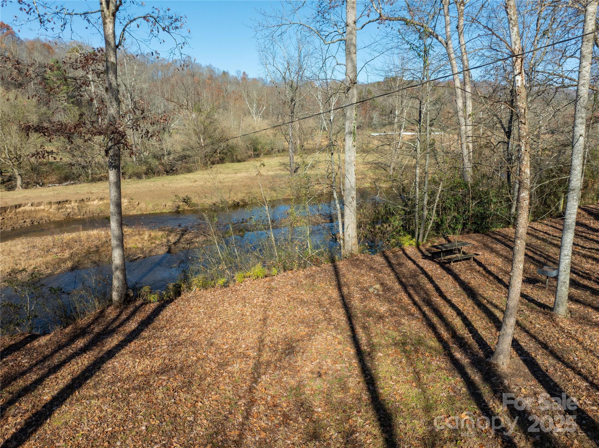 85 Brown Lane Marble, NC 28905 - Photo 17 of 32 a view of a yard
