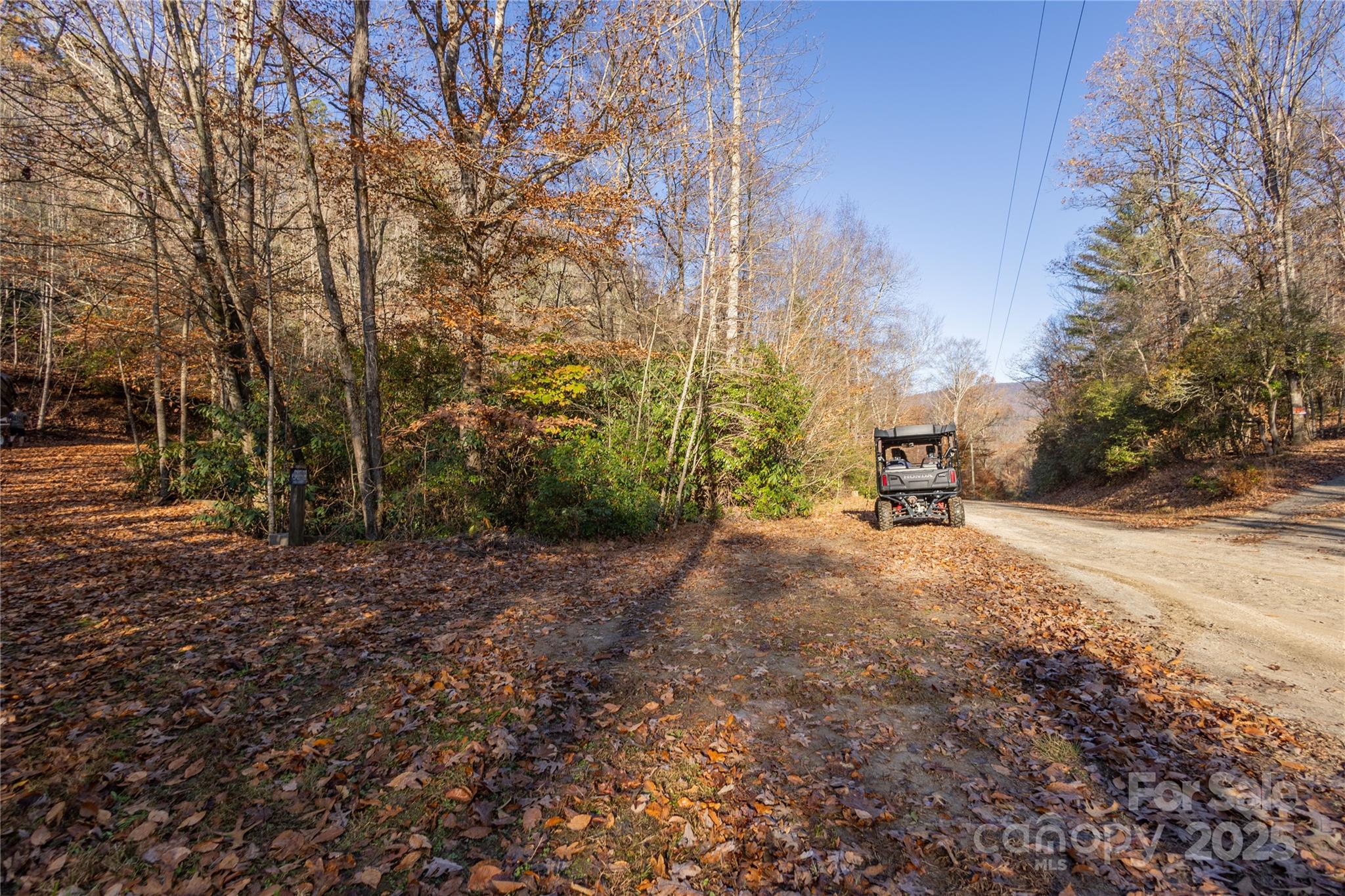 85 Brown Lane Marble, NC 28905 - Photo 20 of 32 a view of road with trees