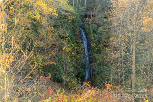 a big yard with lots of green space