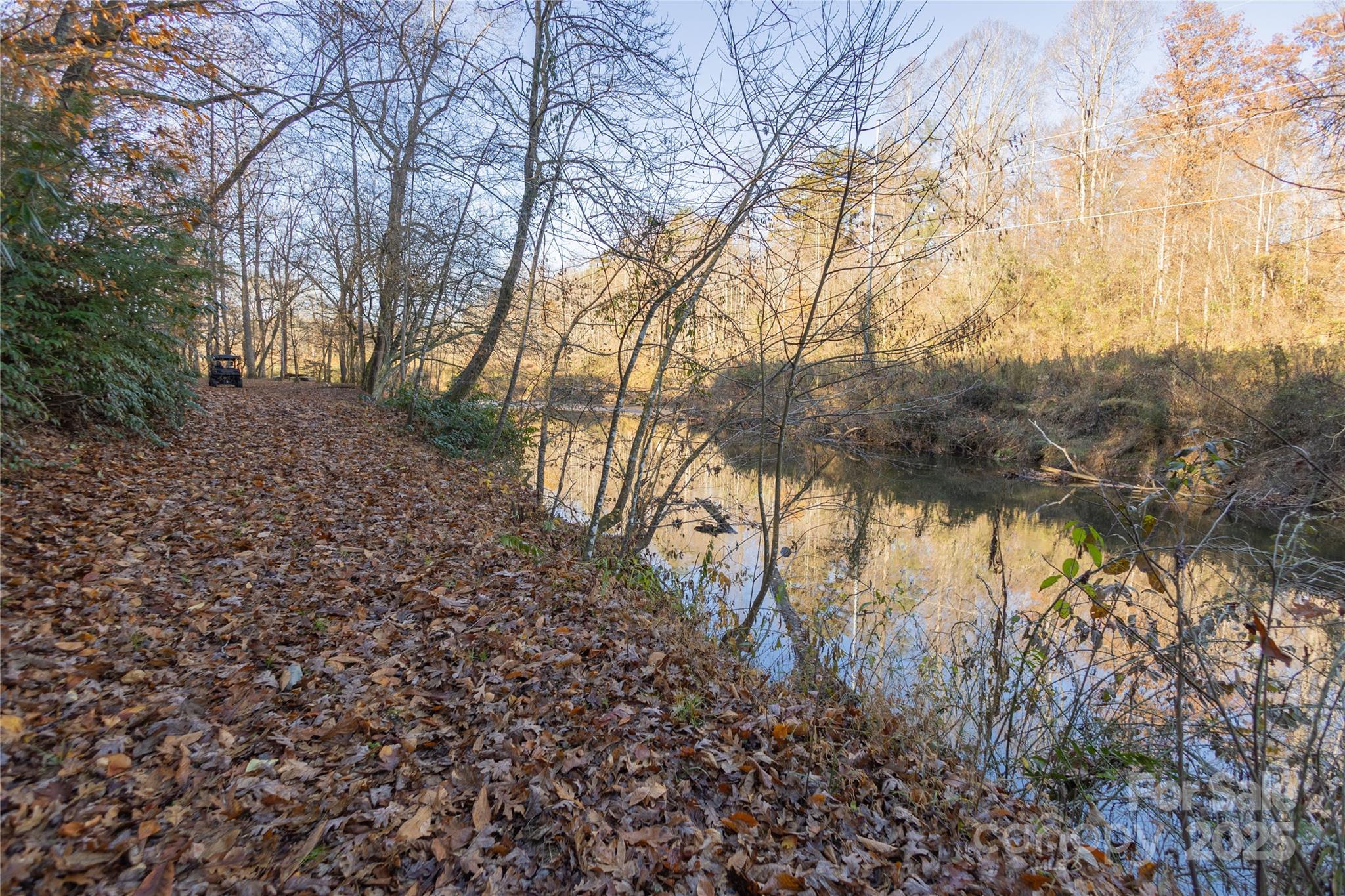 85 Brown Lane Marble, NC 28905 - Photo 22 of 32 a view of forest