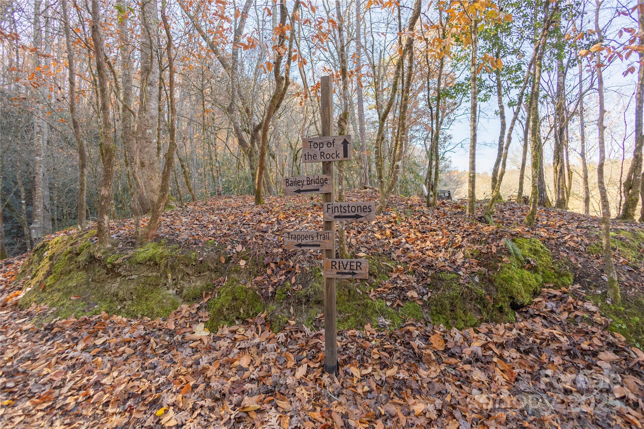 85 Brown Lane Marble, NC 28905 - Photo 24 of 32 a backyard of a house with lots of green space