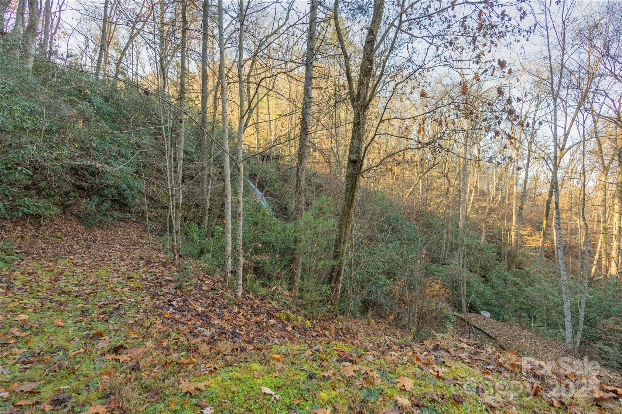 85 Brown Lane Marble, NC 28905 - Photo 26 of 32 a view of a forest with trees