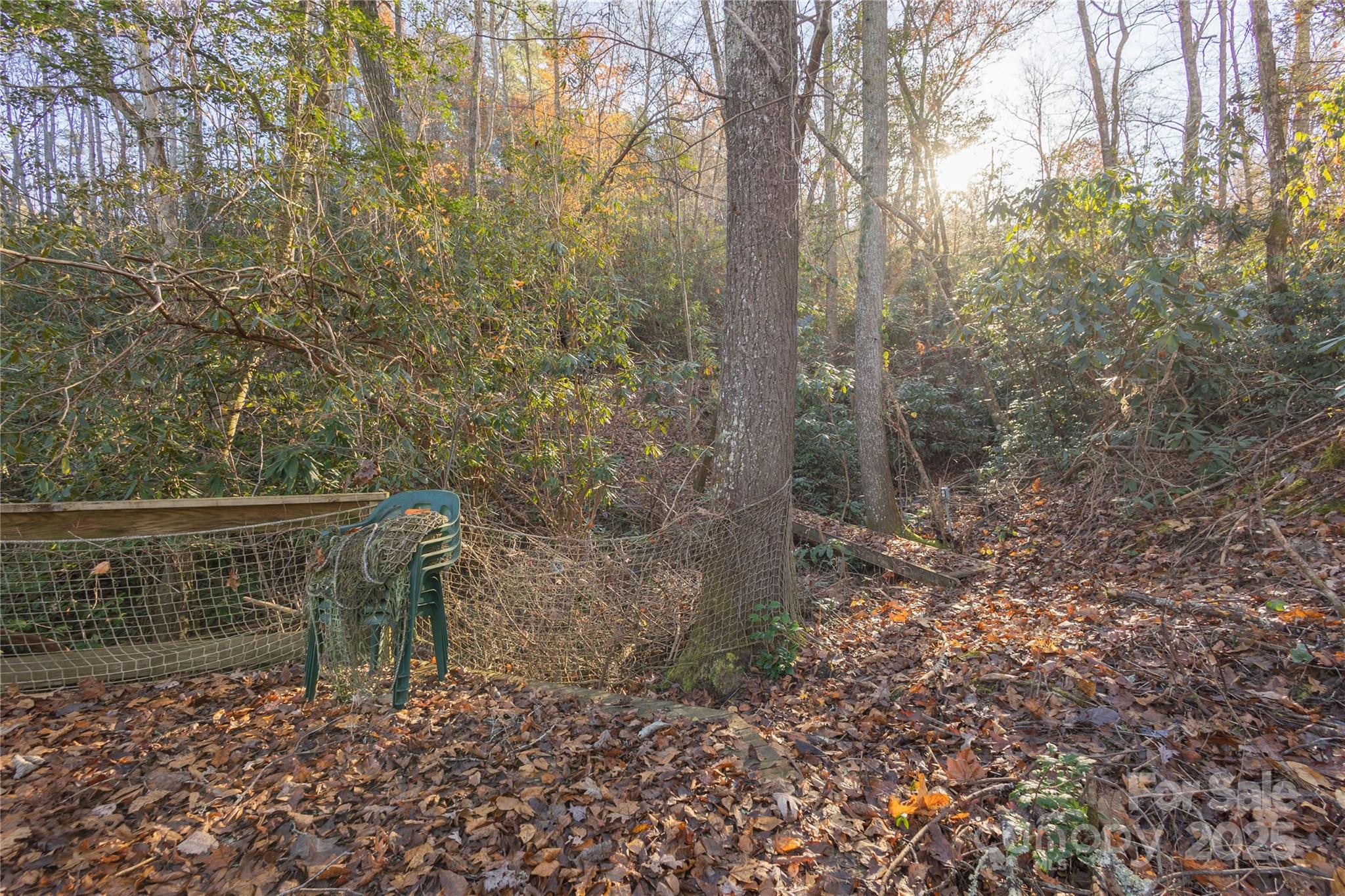 85 Brown Lane Marble, NC 28905 - Photo 30 of 32 a view of roof with small trees