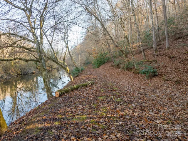 a view of a yard with plants