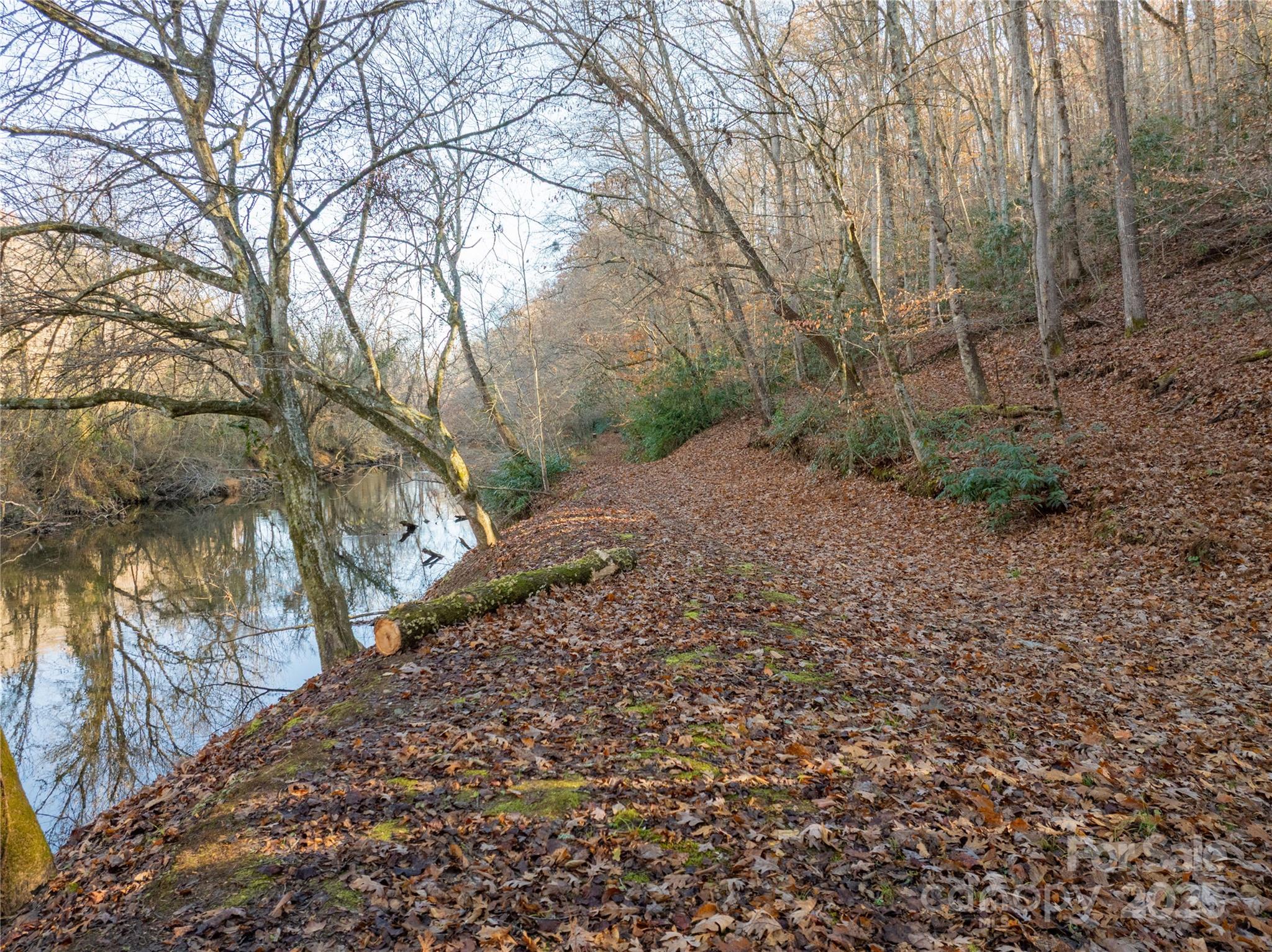 85 Brown Lane Marble, NC 28905 - Photo 3 of 32 a big yard with lots of green space