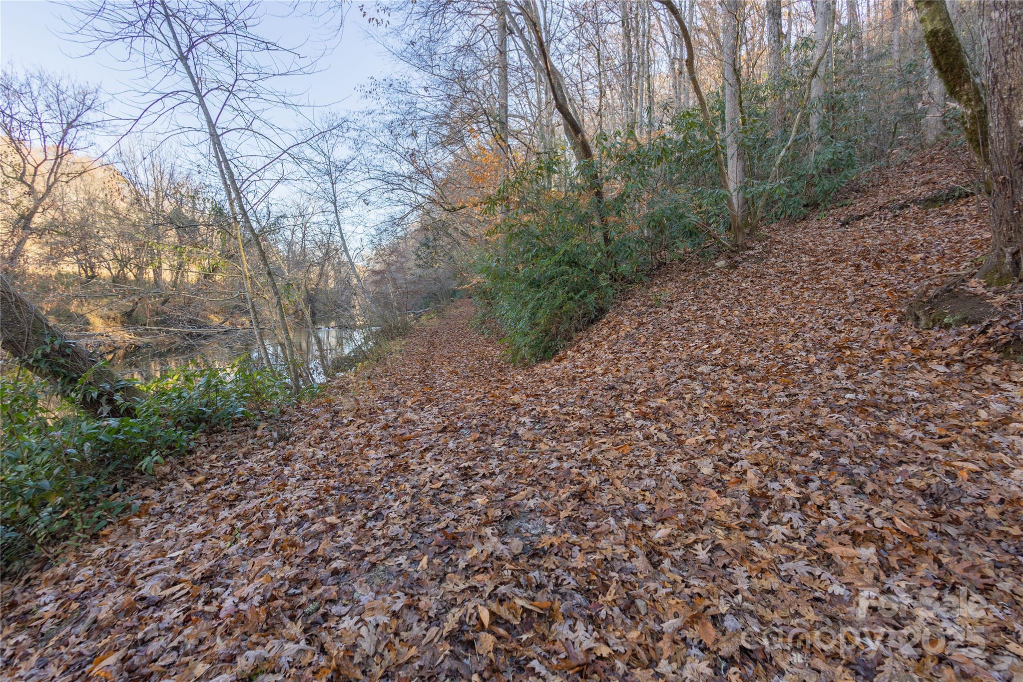 85 Brown Lane Marble, NC 28905 - Photo 31 of 32 a big yard with lots of green space and plants
