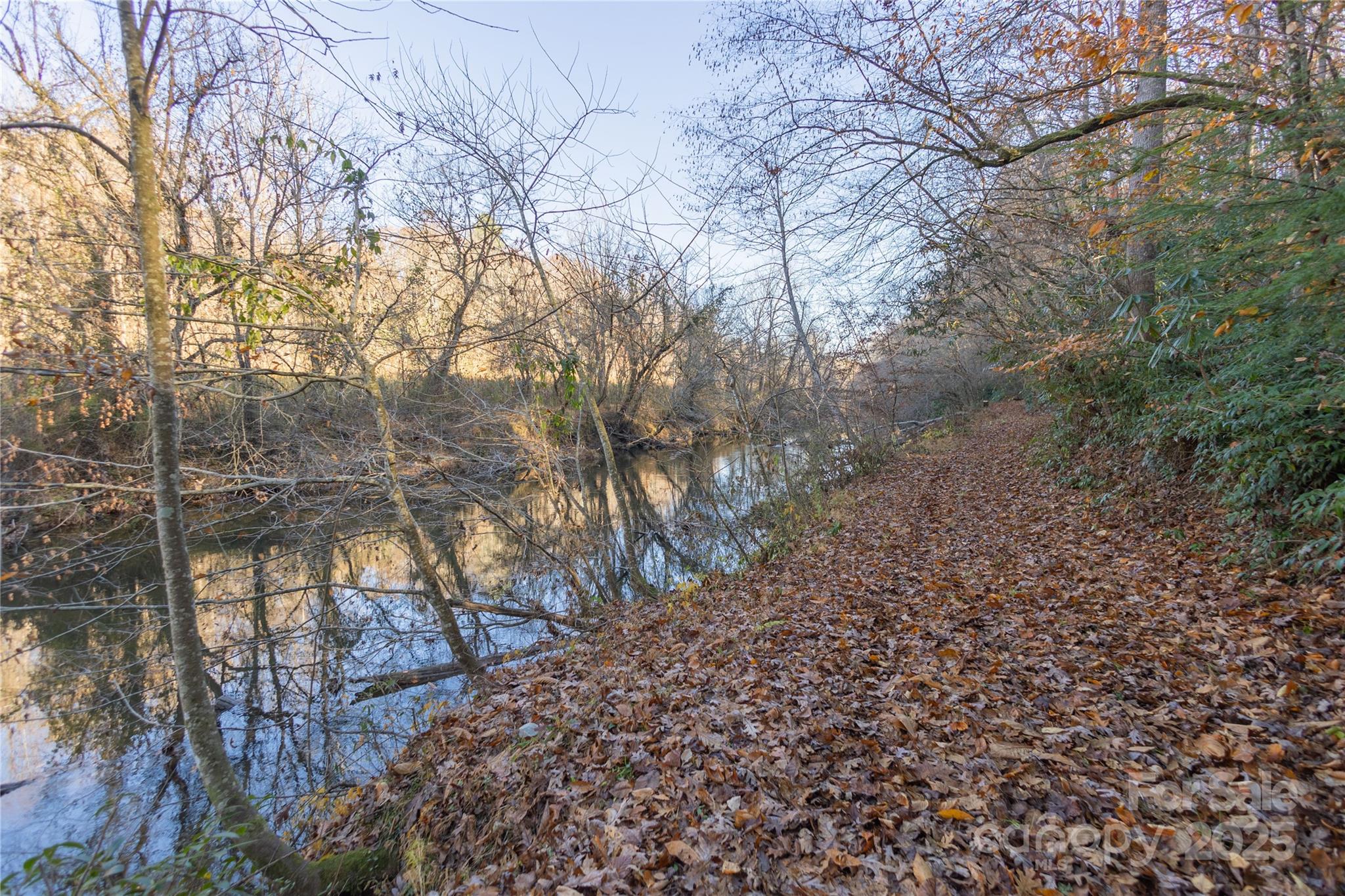 85 Brown Lane Marble, NC 28905 - Photo 32 of 32 a backyard of a house with lots of green space