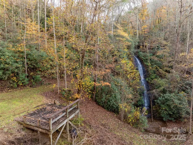 a view of a yard with plants and trees