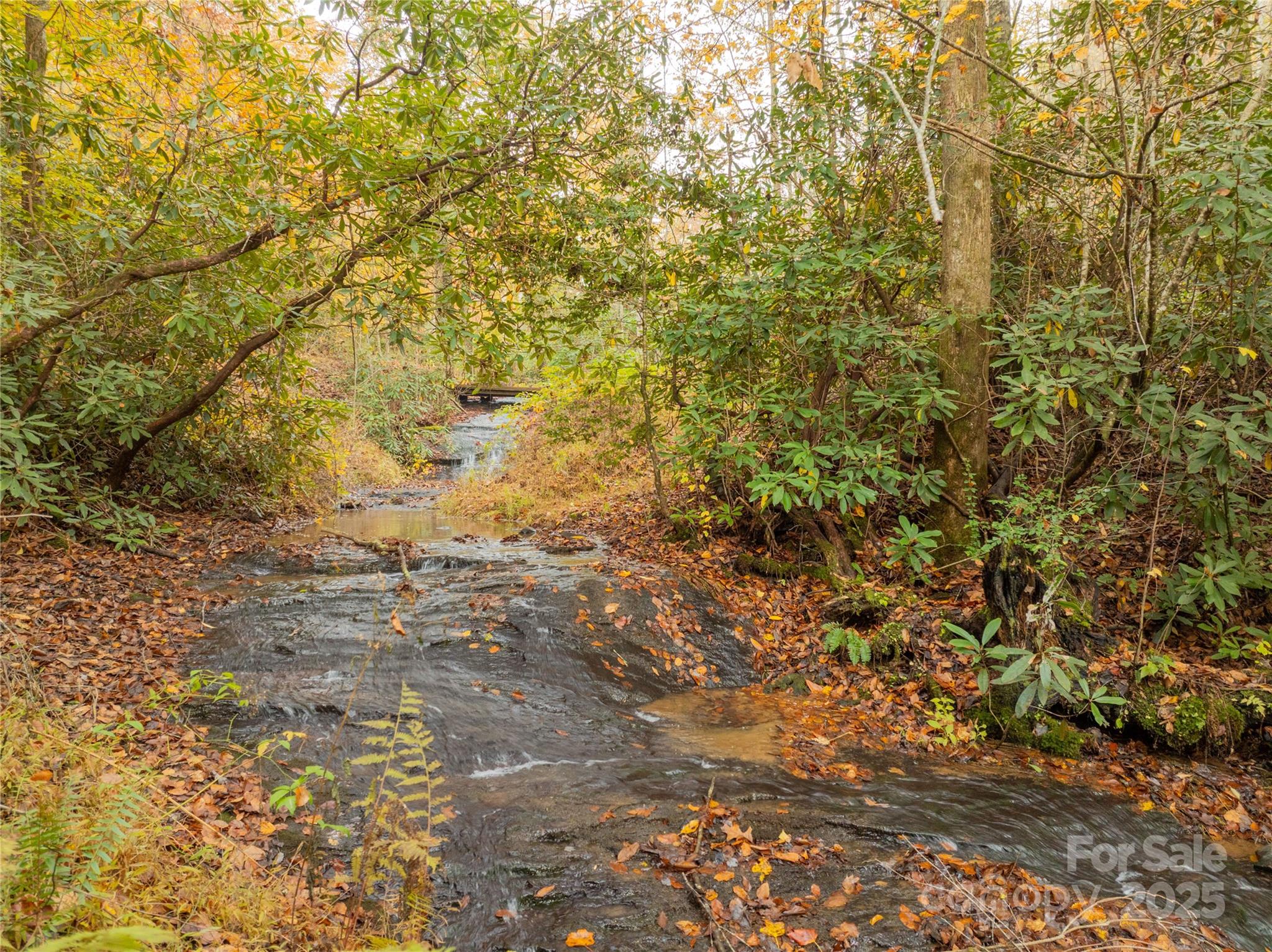 85 Brown Lane Marble, NC 28905 - Photo 5 of 32 a view of a yard with plants and trees