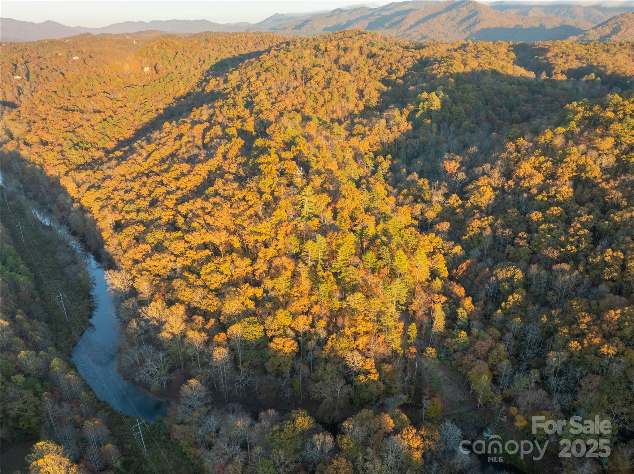 85 Brown Lane Marble, NC 28905 - Photo 7 of 32
