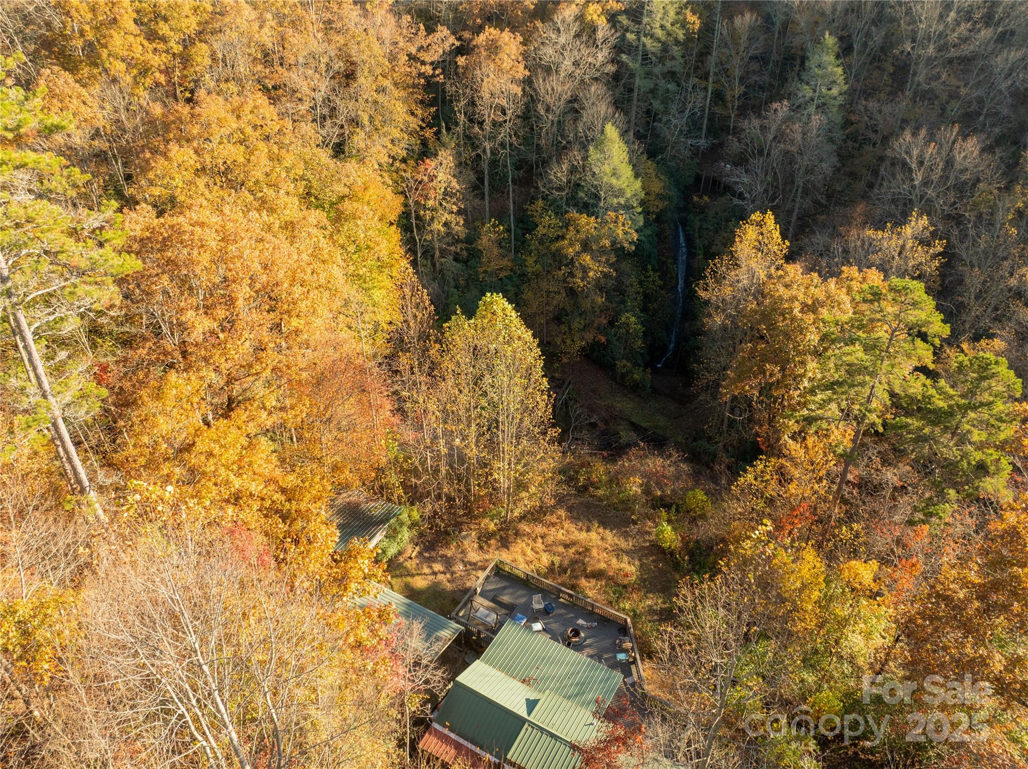 85 Brown Lane Marble, NC 28905 - Photo 8 of 32 a view of a yard