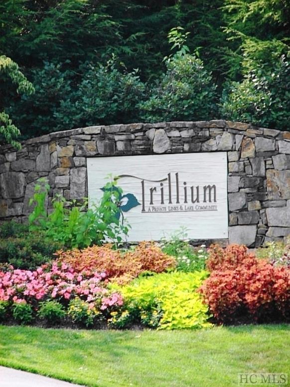 630 Trillium Ridge Road Cullowhee, NC 28723 - Photo 29 of 40 Gallery Image 29