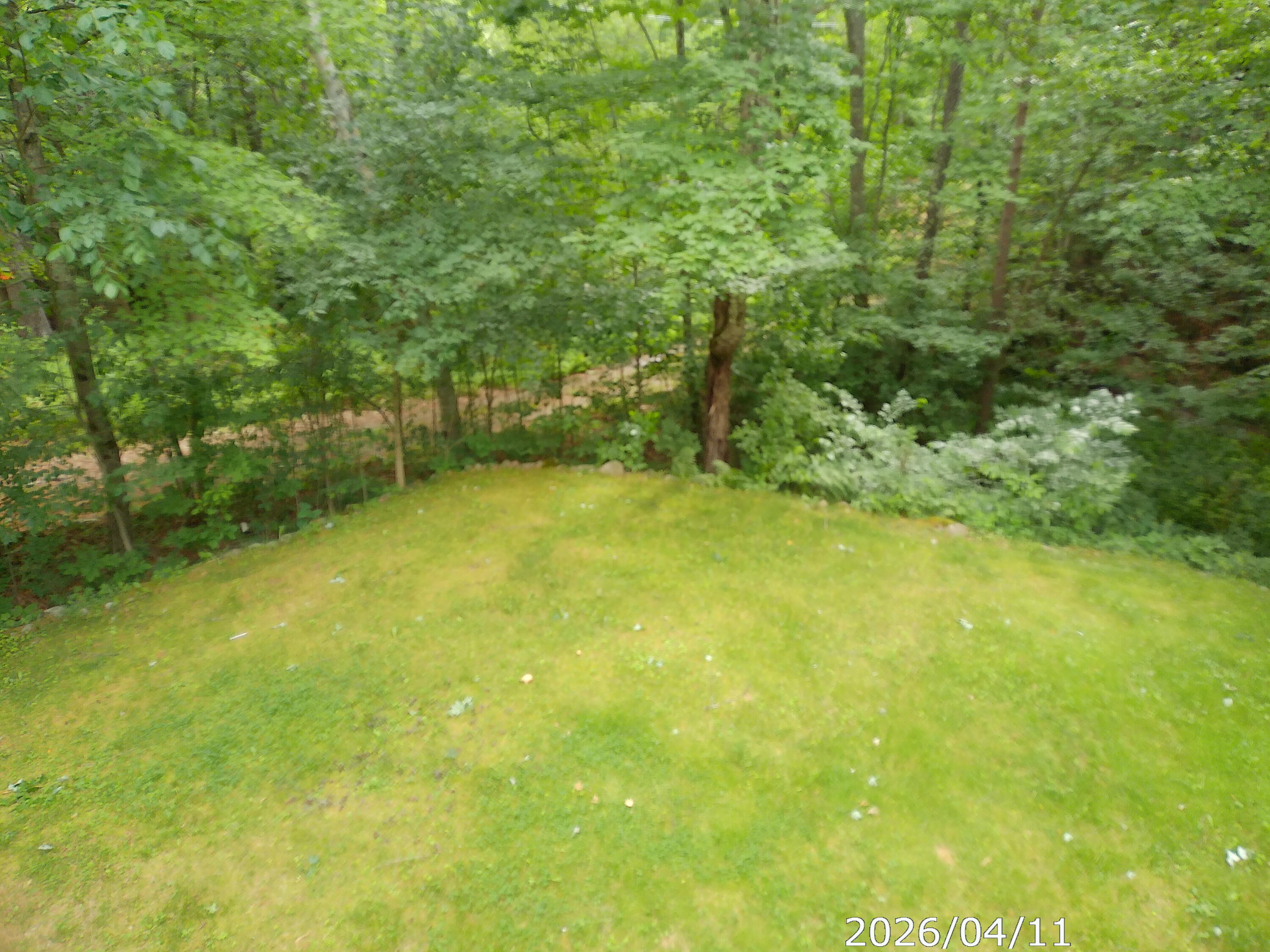 313 Springfield Road Wilmington, NY 12997 - Photo 38 of 40