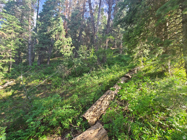 30 East Pine Creek Road South, Unit 30 Mount Pleasant, UT 84647 - Photo 13 of 14 View of woods