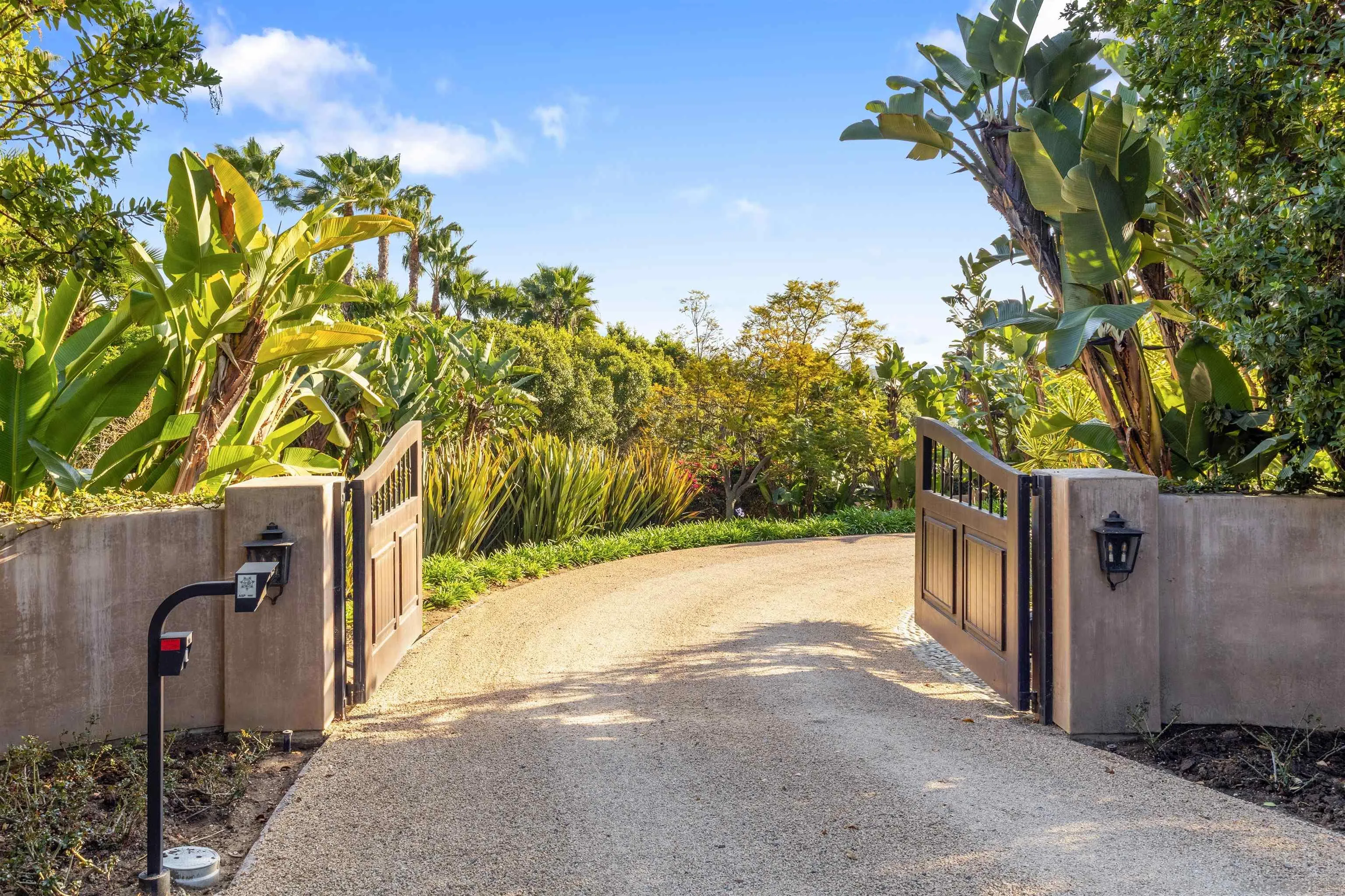 6871 Las Colinas Rancho Santa Fe, CA 92067 - Photo 7 of 60 a backyard of a house with lots of green space