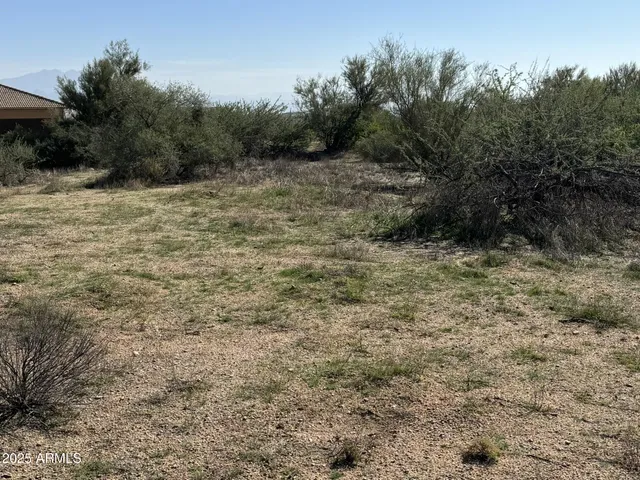 a view of a dry yard with trees