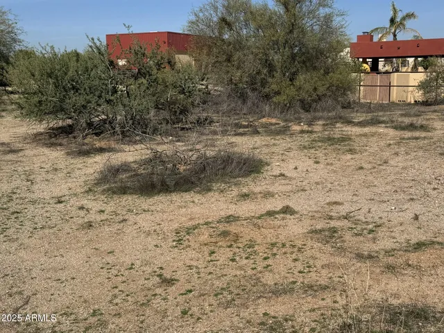 a view of a dry yard with trees